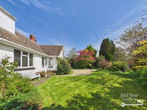 Front Garden- click for photo gallery